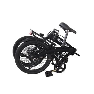 E-BIKE BK-BM04-EB BLACK/BLACK