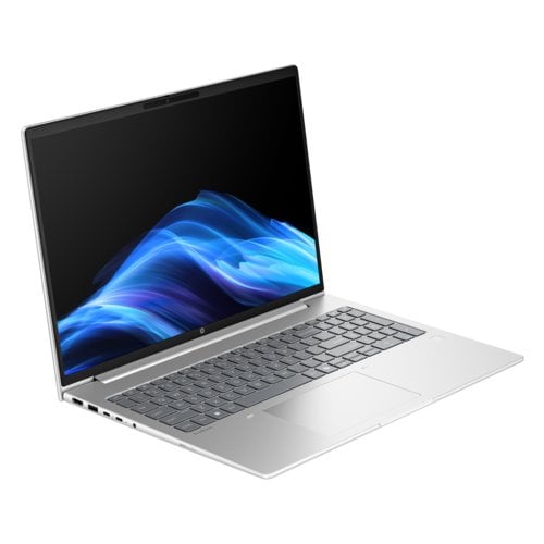 HP ProBook 4 G1a 16" Notebook - WUXGA - AMD Ryzen 5 230 - 16 GB - 256 GB SSD - English Keyboard - Pike Silver - AMD Chip -