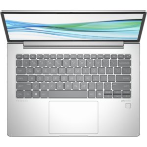 HP ProBook 445 G11 14" Notebook - WUXGA - AMD Ryzen 7 7735U - 16 GB - 512 GB SSD - English Keyboard - Pike Silver Aluminum