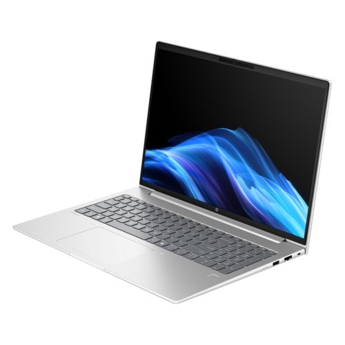 HP ProBook 4 G1i 16" Notebook - WUXGA - 60 Hz - Intel Core Ultra 5 225U - 16 GB - 512 GB SSD - English Keyboard - Pike Sil