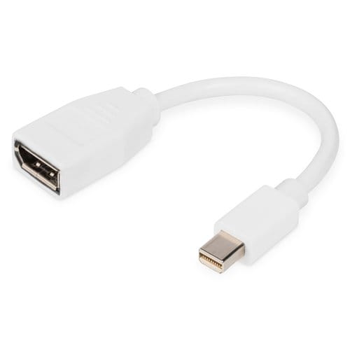 Digitus DisplayPort Adapterkabel, mini DP - DP. Kabellänge: 0,15 m, Anschluss 1: Mini DisplayPort, Anschluss 2: DisplayPor