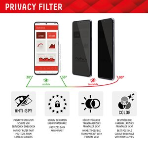 DISPLEX Privacy Glas für Apple iPhone 15/15 Pro