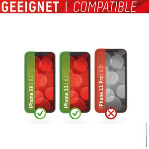 DISPLEX Smart Glass für Apple iPhone XR/11