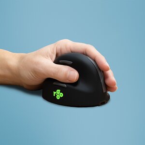R-Go HE souris ergonomique - grande, gaucher, sans fil