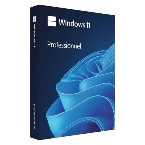 WINDOWS 11 PRO 64BIT FRENCH 1PK DSP OEI DVD