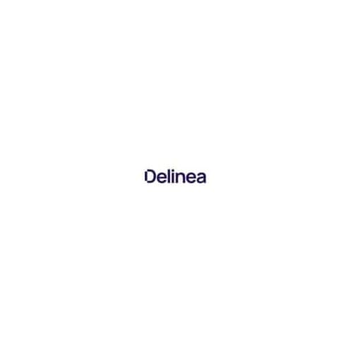 Delinea Service/Support - Service - Technique