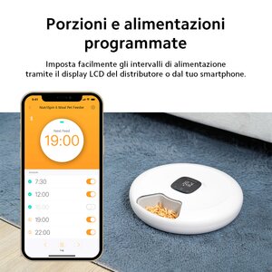 Petoneer PN-110027-01, Alimentatore automatico per animali domestici, Acrilonitrile butadiene stirene (ABS), Bianco, Inter