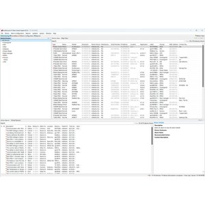 APC by Schneider Electric Data Center Expert - Licenza di sorveglianza